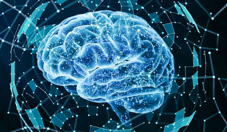 Cérebro humano em visualização digital e futurista.